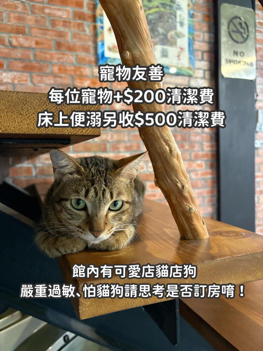 缽割貓點點 青旅 Diandian Hostel Puli Exterior photo